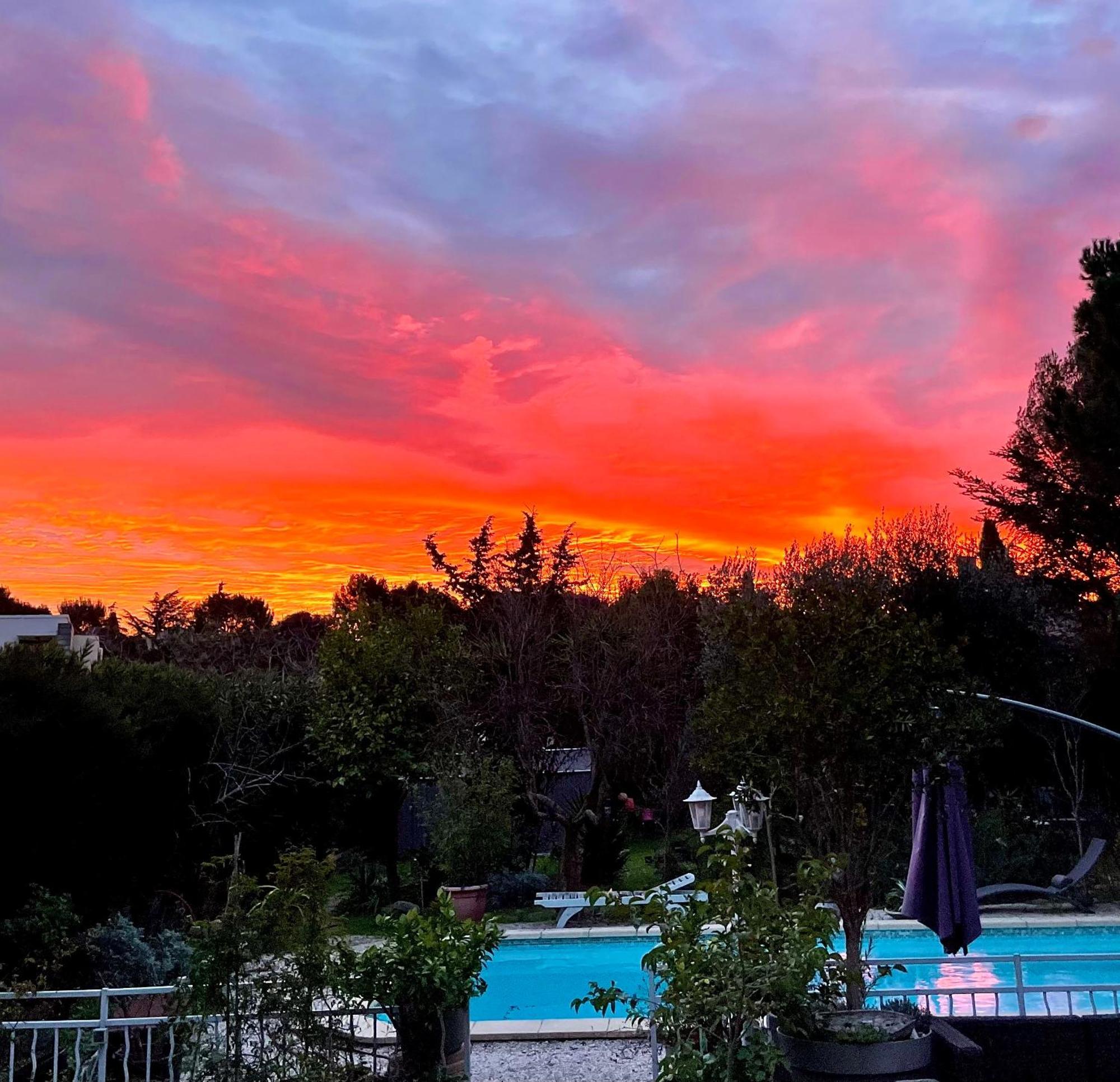 Les Pinsons Apartamento La Ciotat Exterior foto