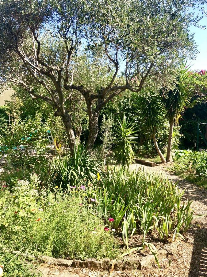 Les Pinsons Apartamento La Ciotat Exterior foto